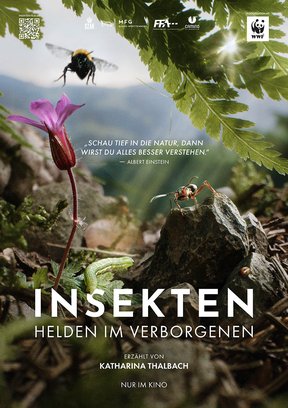 Insekten - Helden im Verborgenen Plakat